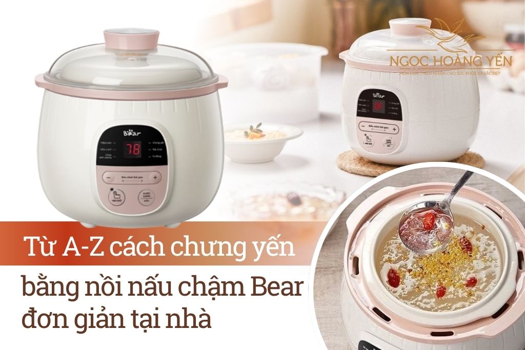 Từ A-Z cách chưng yến bằng nồi nấu chậm Bear đơn giản tại nhà