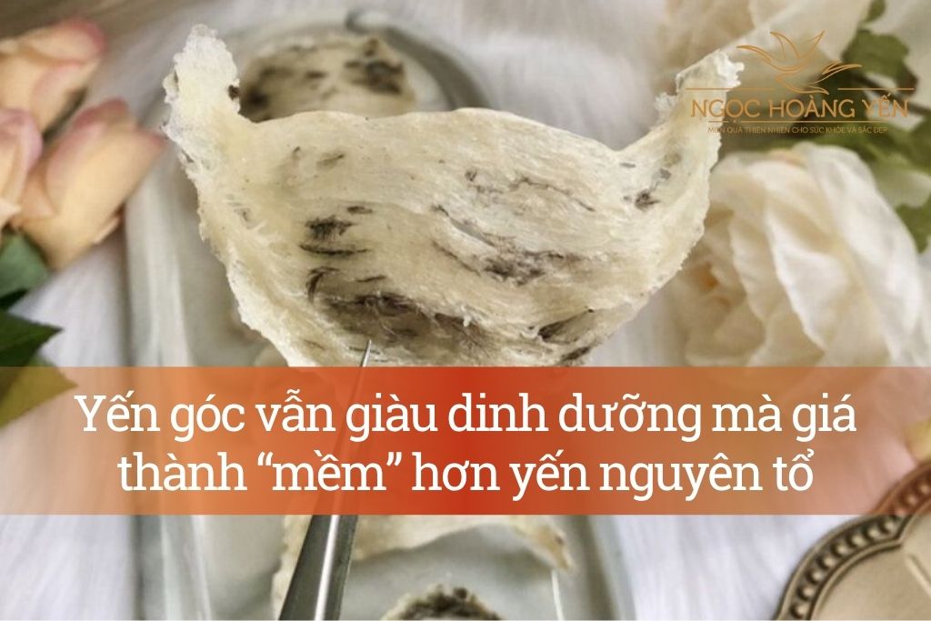 Yến góc vẫn giàu dinh dưỡng mà giá thành “mềm” hơn yến nguyên tổ