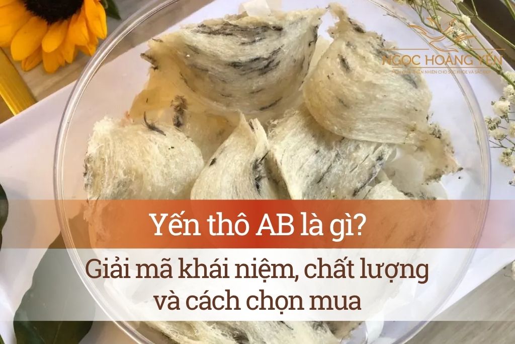 Yến thô AB là gì? Giải mã khái niệm, chất lượng và cách chọn mua