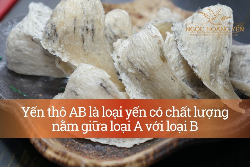 Yến thô AB là loại yến có chất lượng nằm giữa loại A với loại B