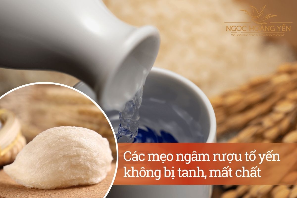 Các mẹo ngâm rượu tổ yến không bị tanh, mất chất