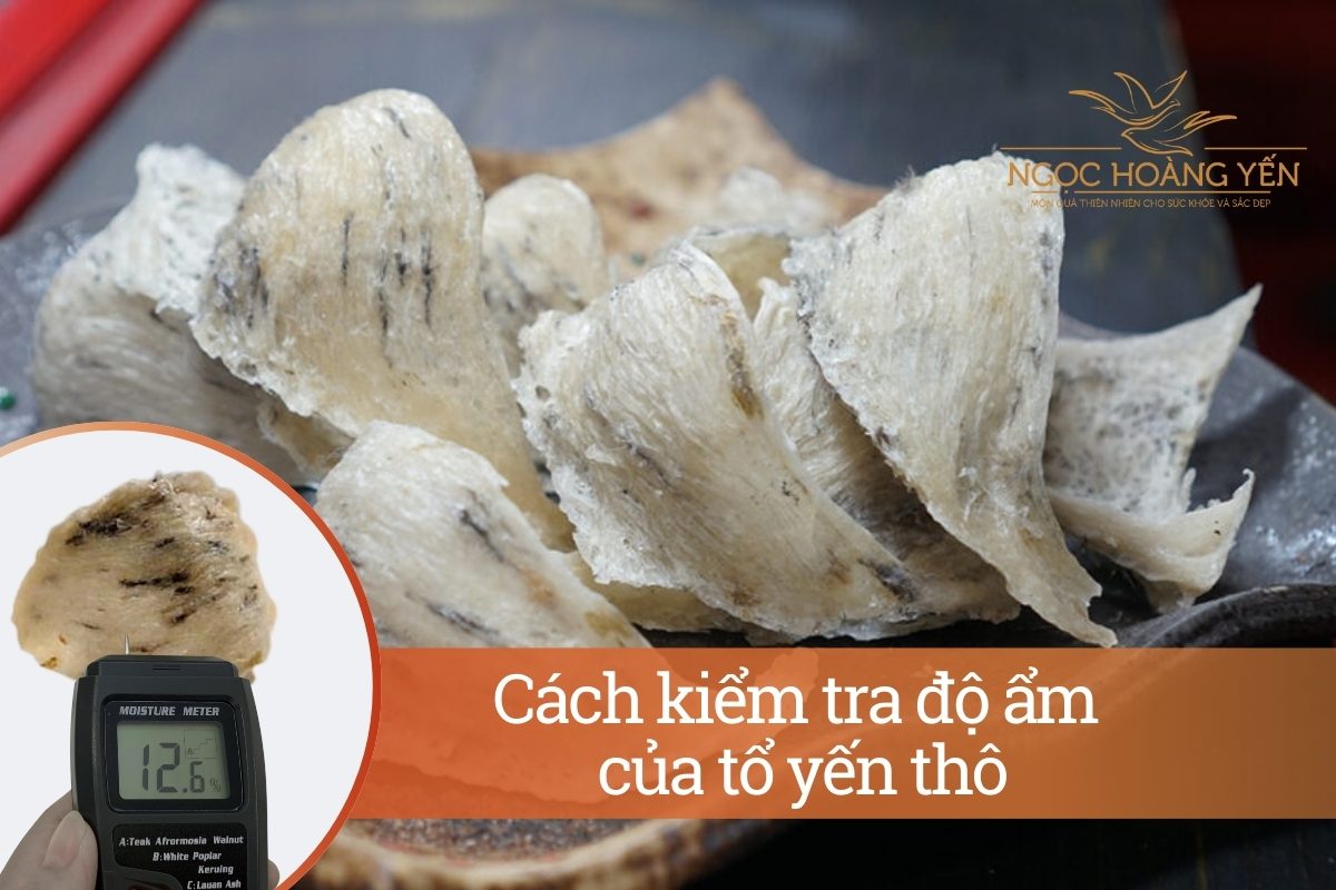 Cách kiểm tra độ ẩm của tổ yến thô