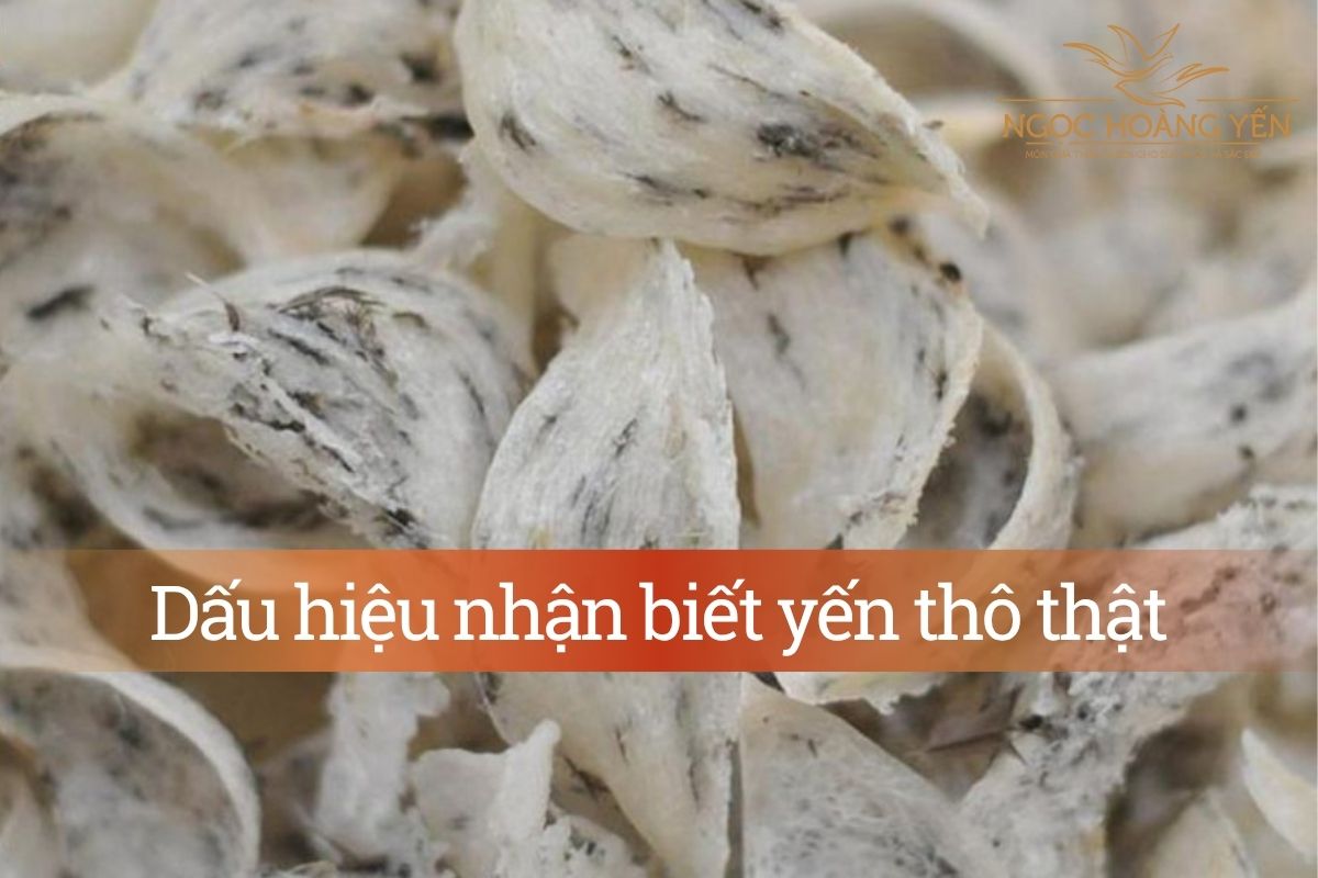 Dấu hiệu nhận biết yến thô thật