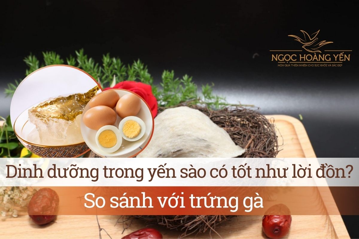 Dinh dưỡng trong yến sào có tốt như lời đồn? So sánh với trứng gà