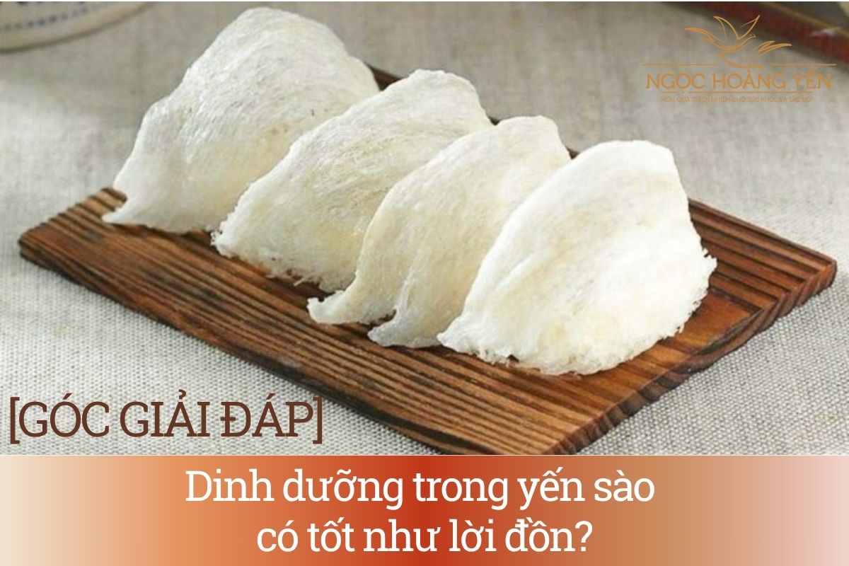 [GÓC GIẢI ĐÁP] Dinh dưỡng trong yến sào có tốt như lời đồn?