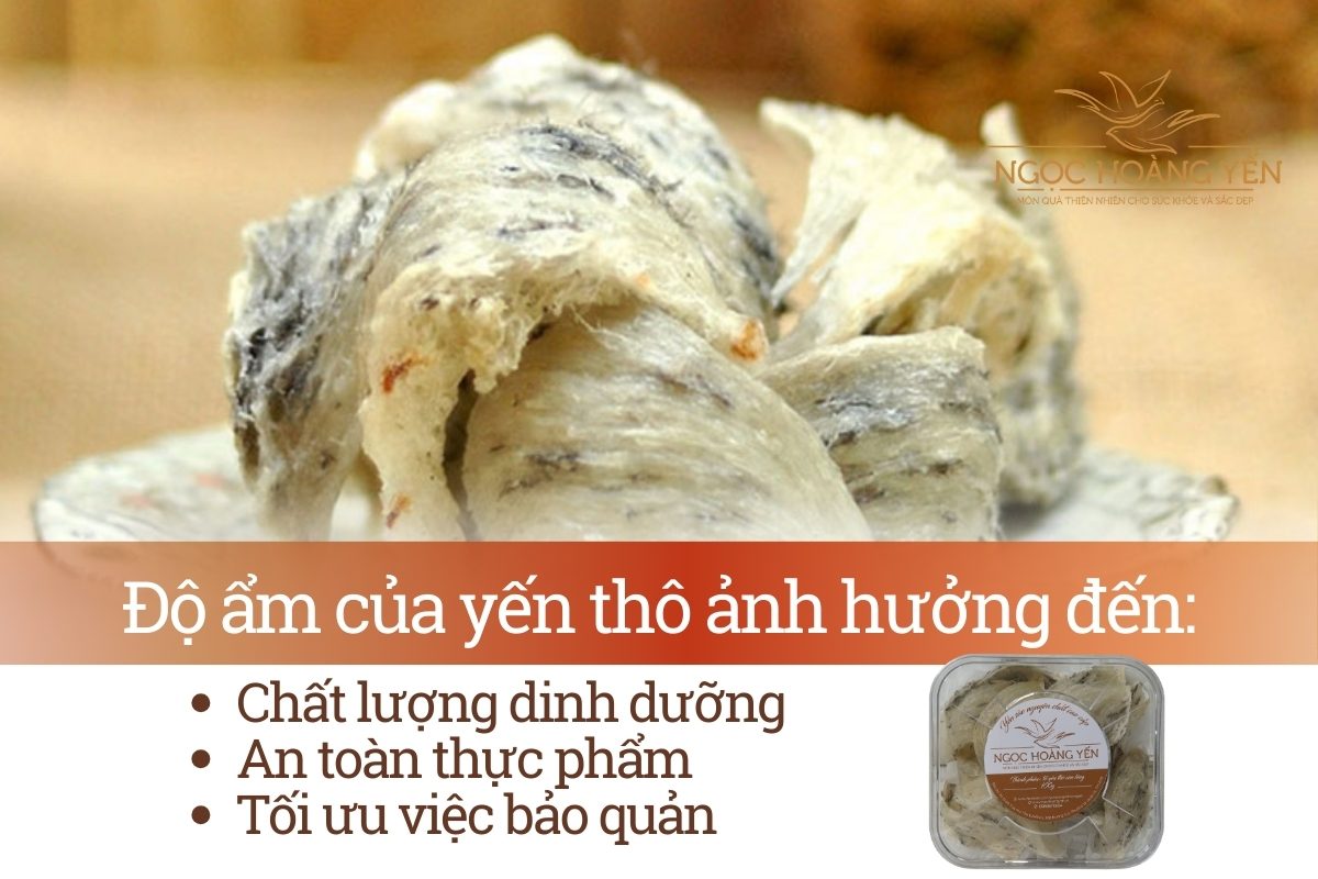 Độ ẩm của yến thô ảnh hưởng đến chất lượng, an toàn và bảo quản