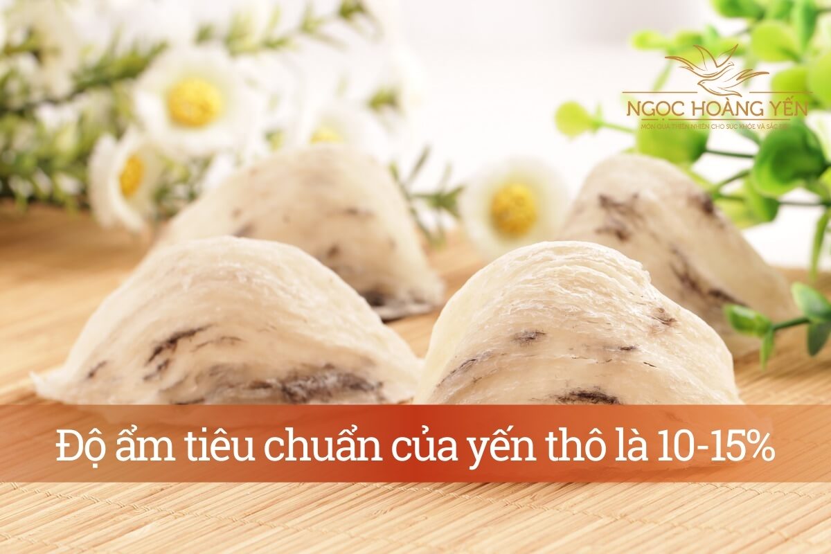 Độ ẩm tiêu chuẩn của yến thô là 10-15%