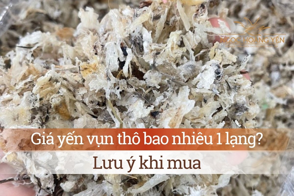 Giá yến vụn thô bao nhiêu 1 lạng? Lưu ý khi mua