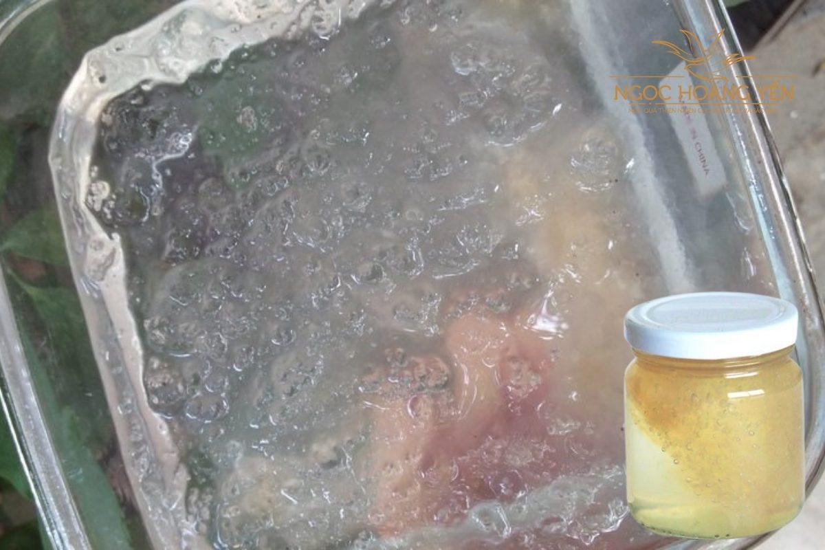 Hình ảnh yến chưng hàng “dởm”