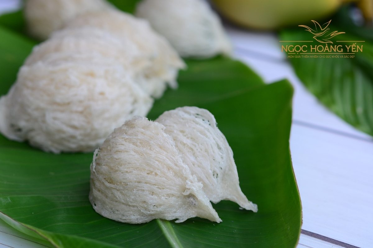Hình ảnh yến rút lông