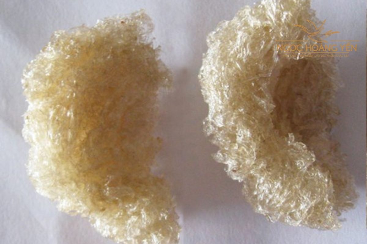 Hình ảnh yến sào giả