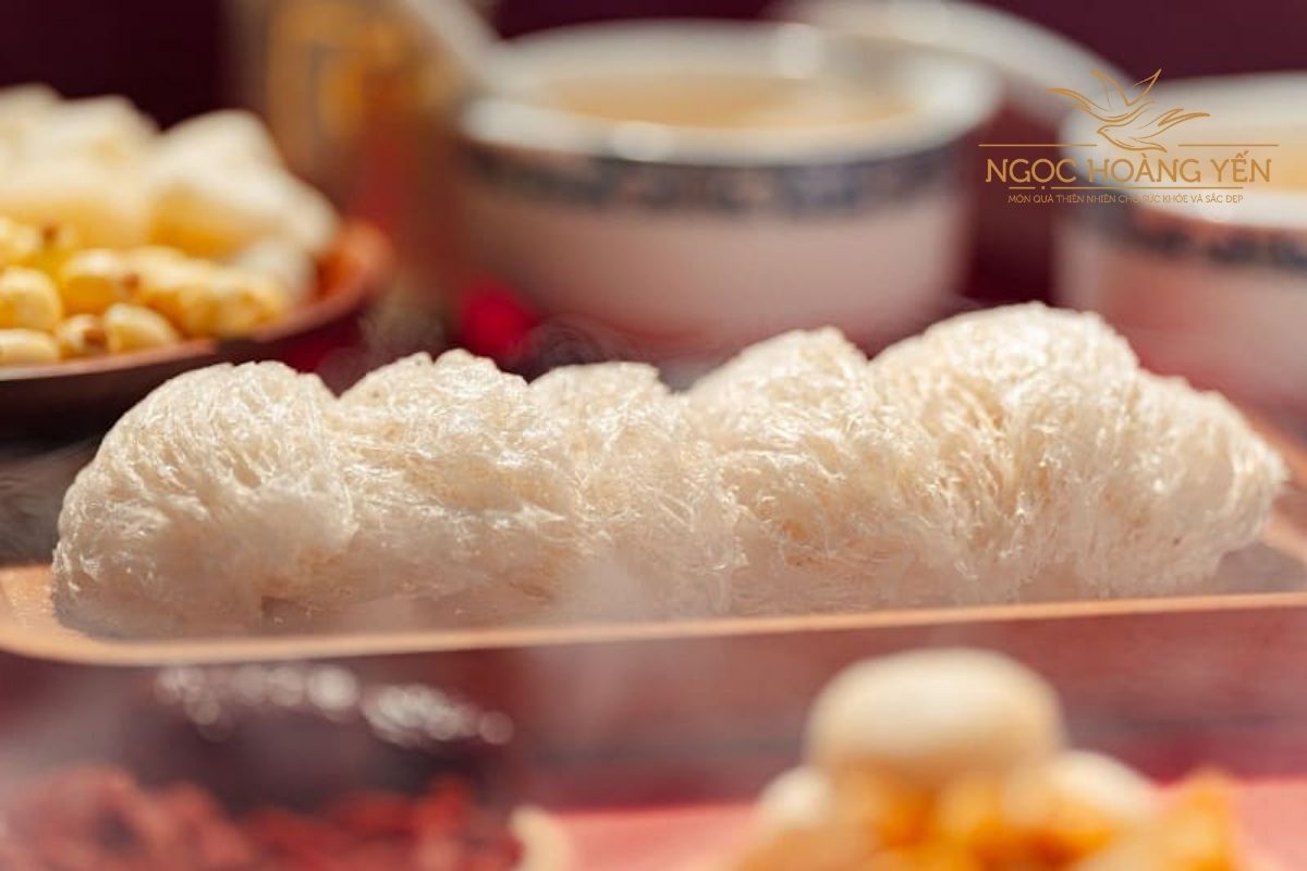 Hình ảnh yến sào thật