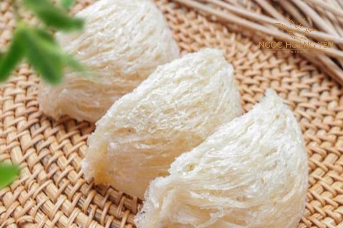 Hình ảnh yến sào thật