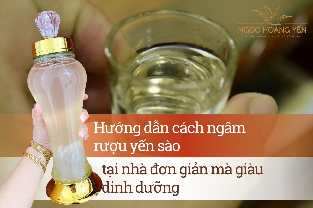 Hướng dẫn cách ngâm rượu yến sào tại nhà đơn giản mà giàu dinh dưỡng