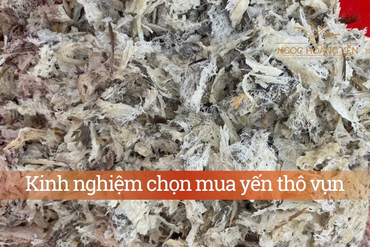 Kinh nghiệm chọn mua yến thô vụn