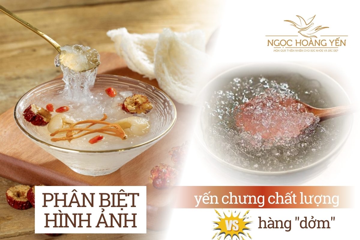 Phân biệt hình ảnh yến chưng chất lượng và hàng 