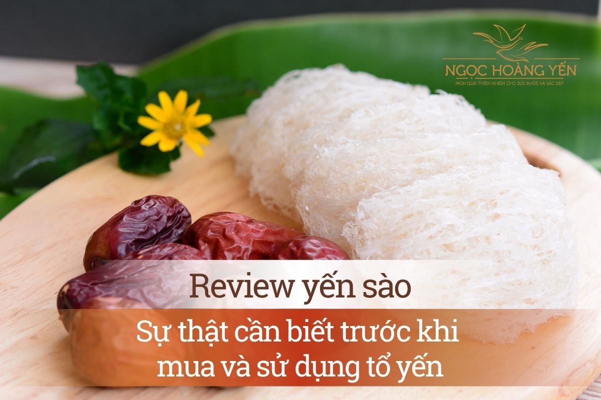 Review yến sào: Sự thật cần biết trước khi mua và sử dụng tổ yến