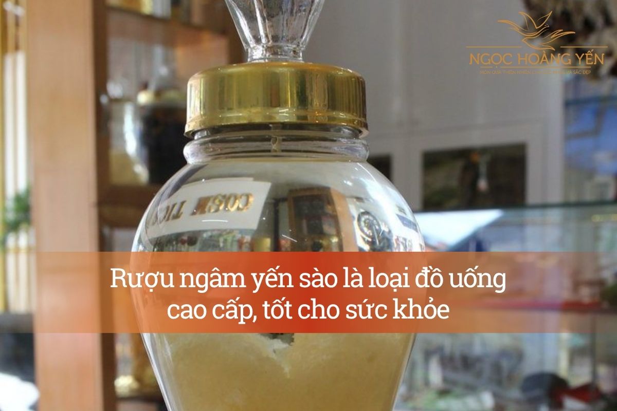 Rượu ngâm yến sào là loại đồ uống cao cấp, tốt cho sức khỏe