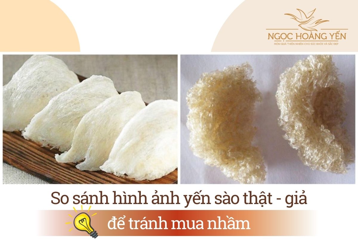 So sánh hình ảnh yến sào thật - giả để tránh mua nhầm