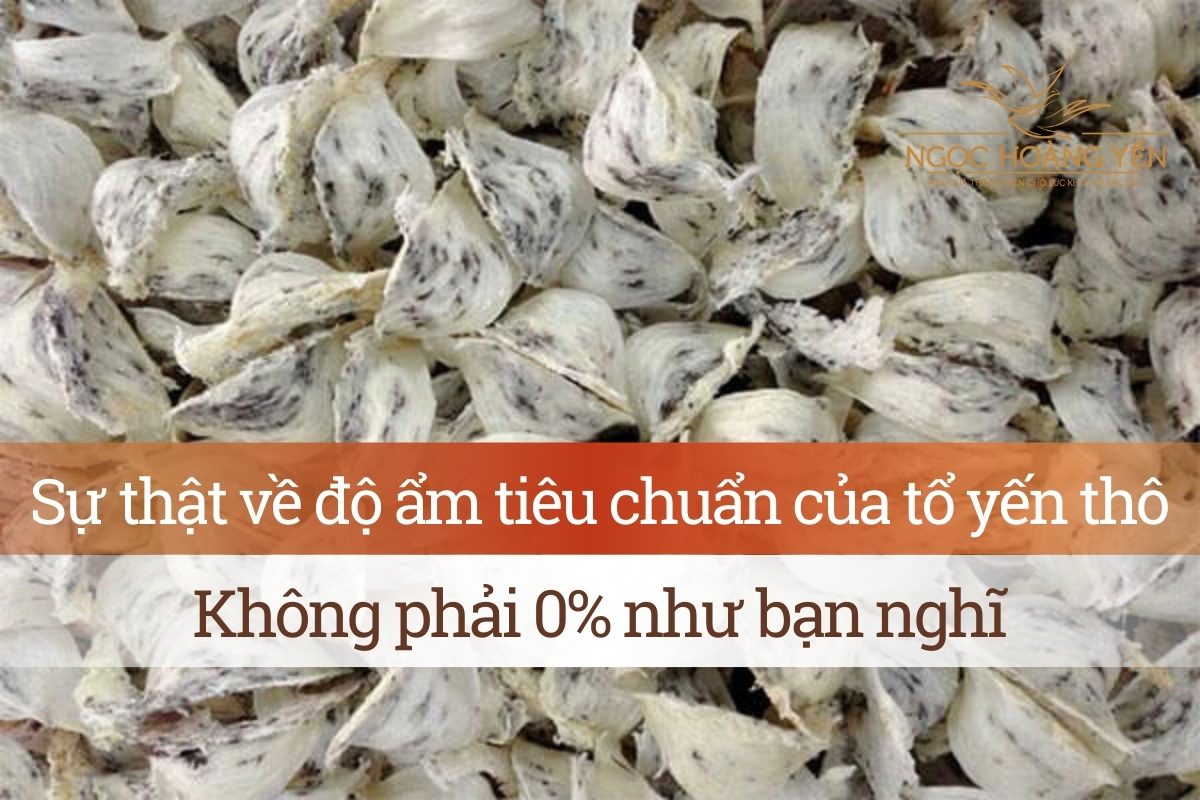 Sự thật về độ ẩm tiêu chuẩn của tổ yến thô: Không phải 0% như bạn nghĩ