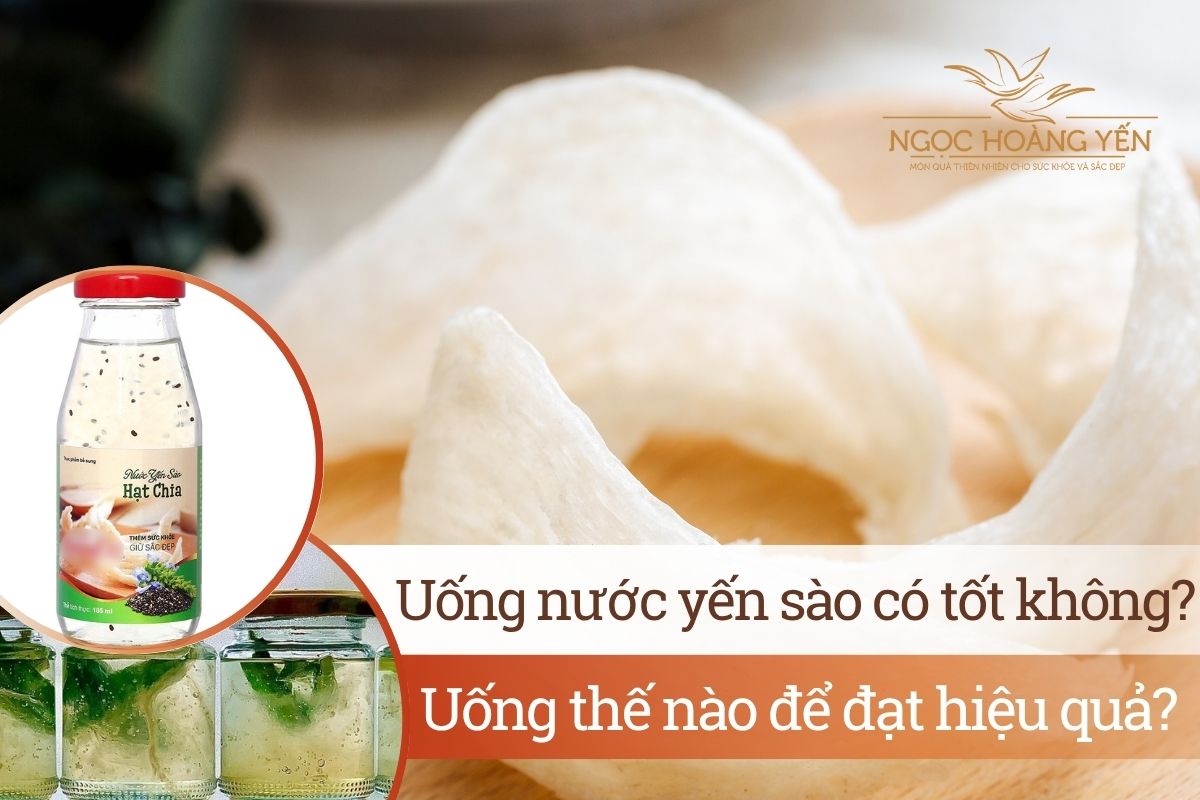 Uống nước yến sào có tốt không? Uống thế nào để đạt hiệu quả?