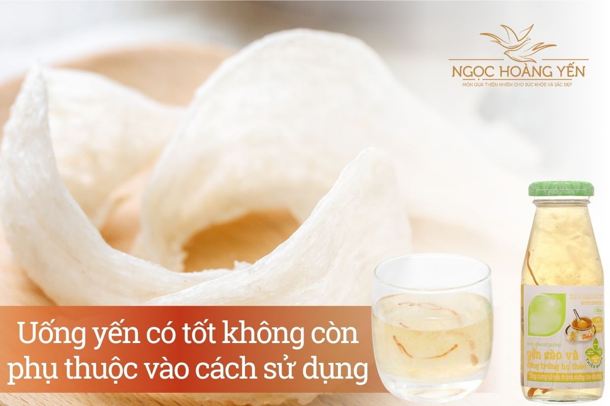 Uống yến có tốt không còn phụ thuộc vào cách sử dụng