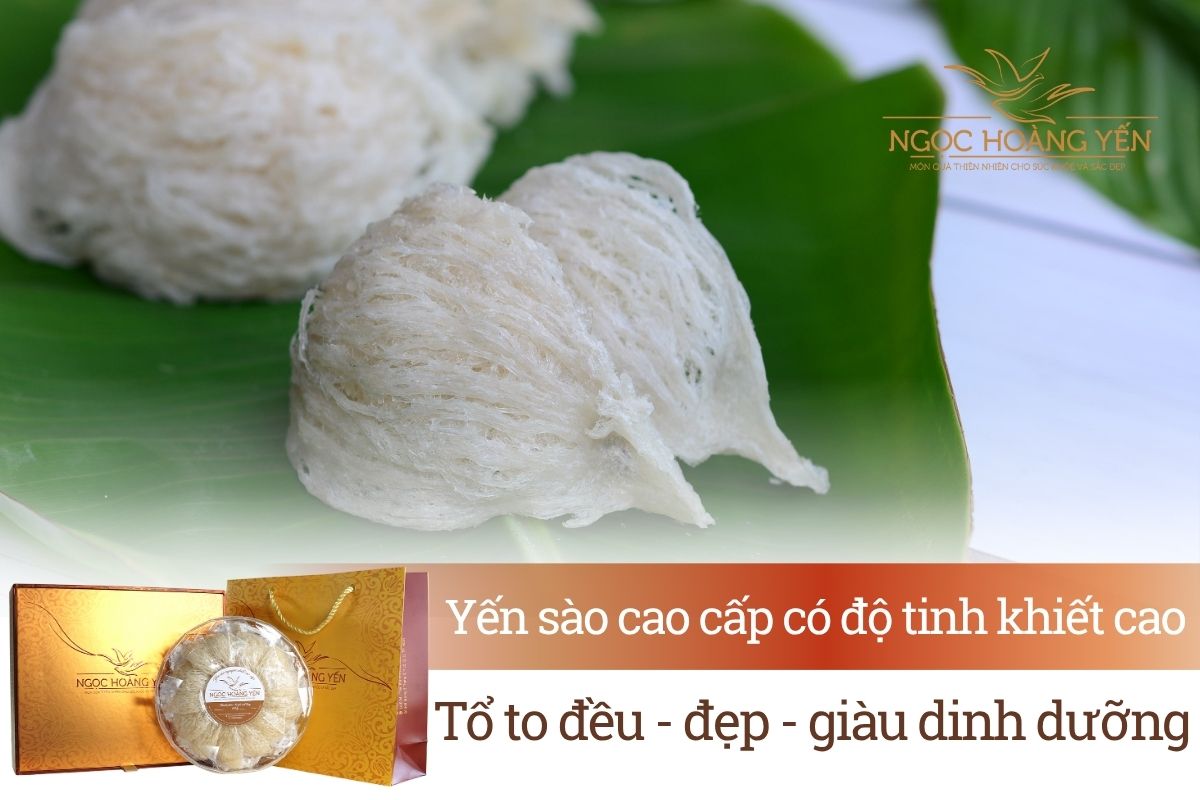 Yến sào cao cấp có độ tinh khiết cao - tổ to, đều, đẹp - giàu dinh dưỡng
