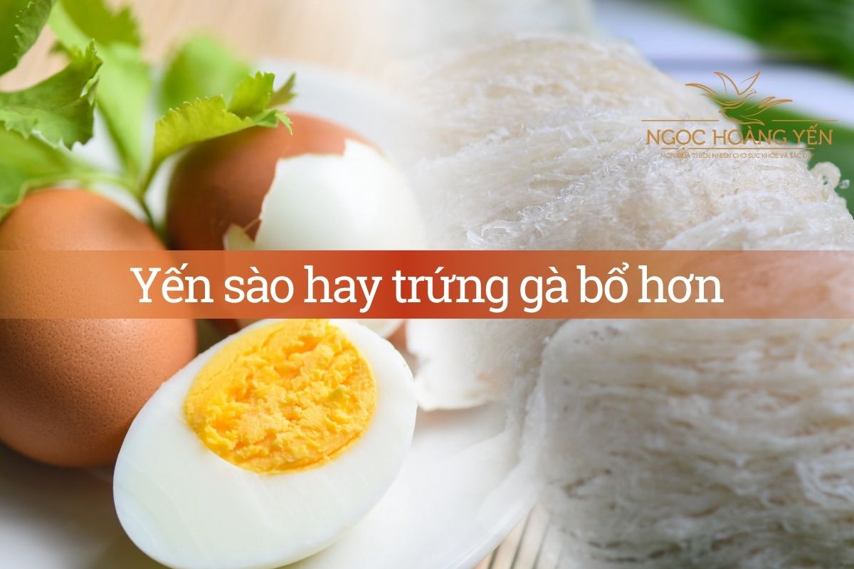 Yến sào hay trứng gà bổ hơn