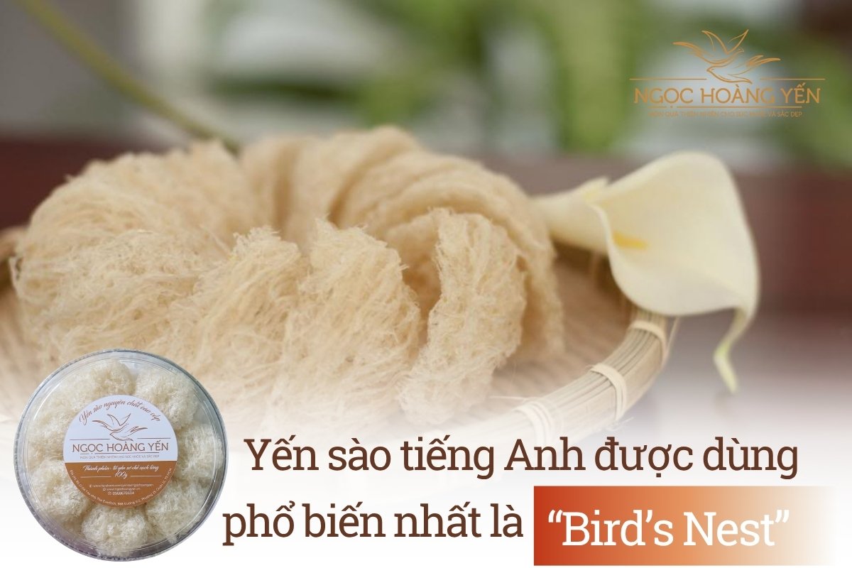 Yến sào tiếng Anh được dùng phổ biến nhất là “Bird’s Nest”