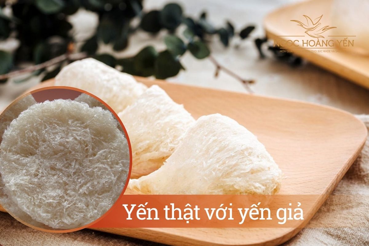 Yến thật với yến giả