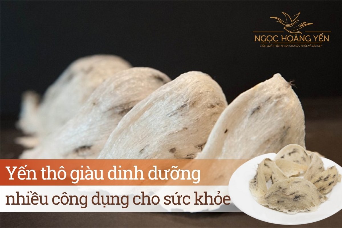 Yến thô giàu dinh dưỡng, nhiều công dụng cho sức khỏe