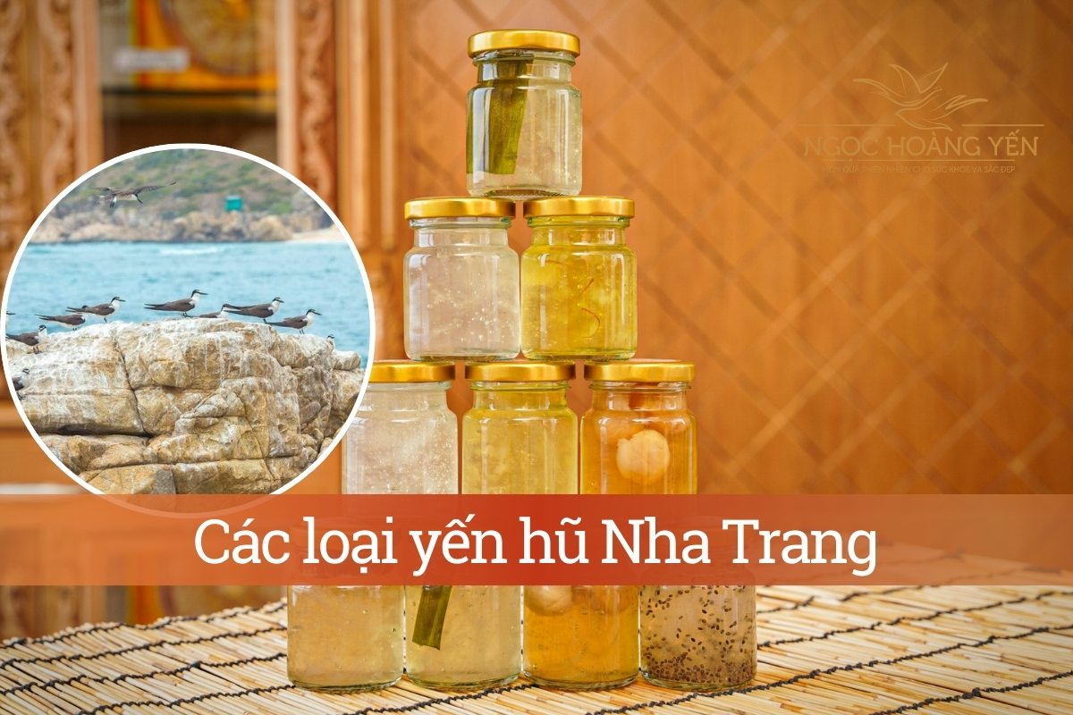 Các loại yến hũ Nha Trang