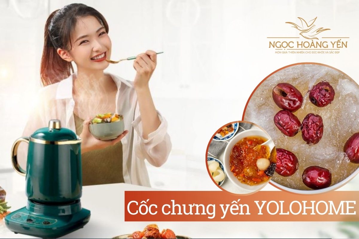 Cốc chưng yến YOLOHOME