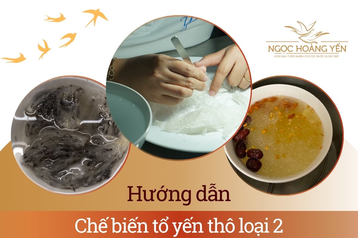 Hướng dẫn chế biến tổ yến thô loại 2