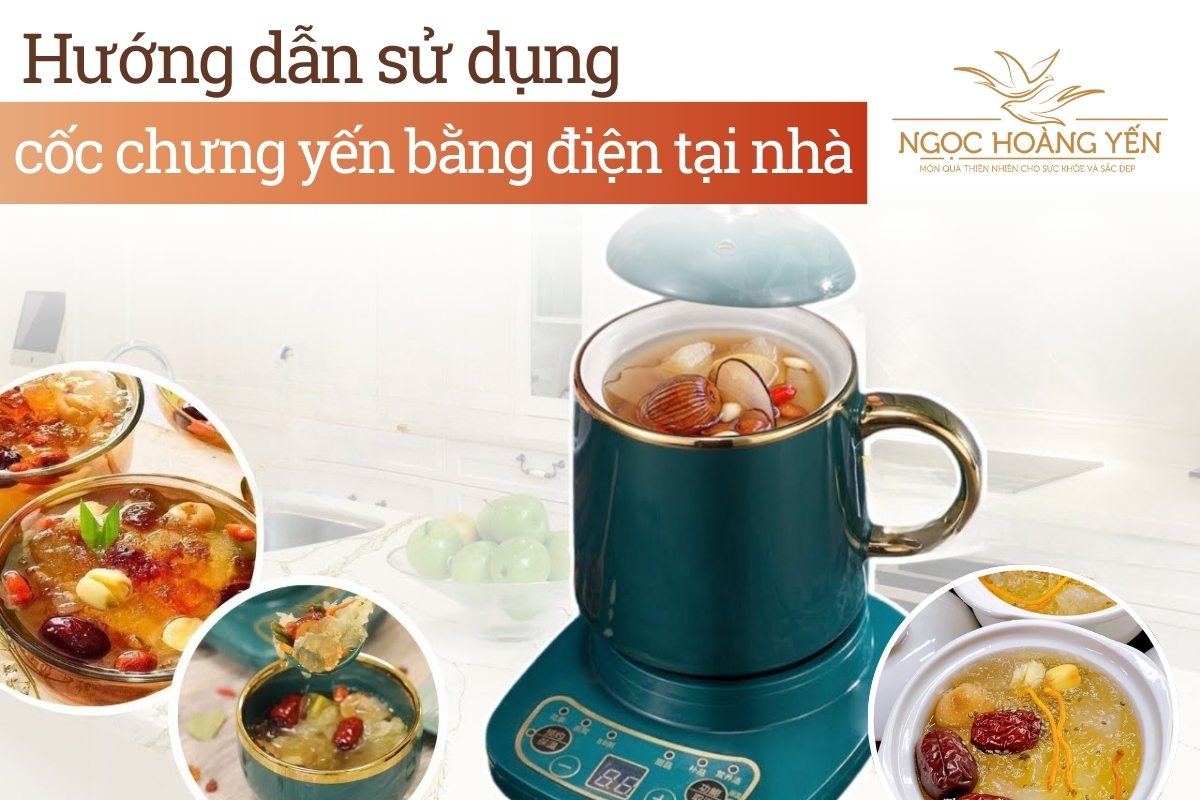 Hướng dẫn sử dụng cốc chưng yến bằng điện tại nhà