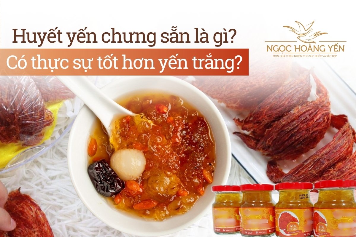 Huyết yến chưng sẵn là gì? Có thực sự tốt hơn yến trắng?