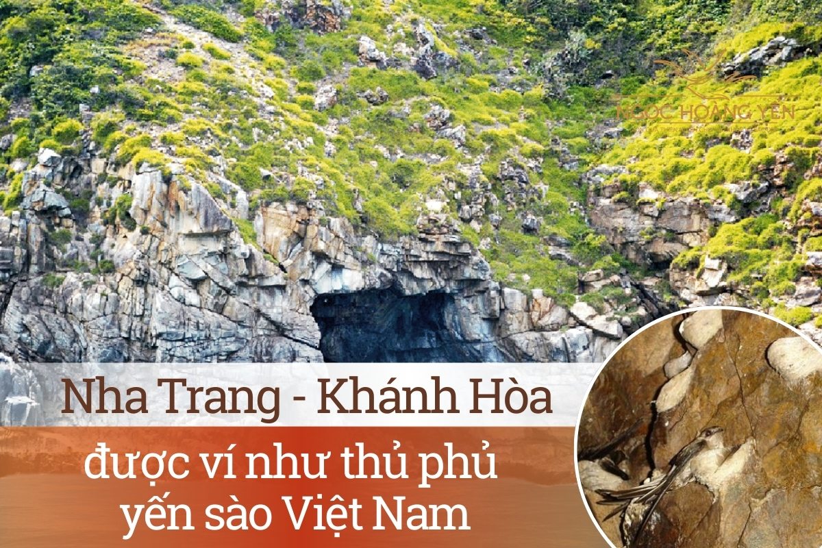 Nha Trang - Khánh Hòa được ví như thủ phủ yến sào Việt Nam