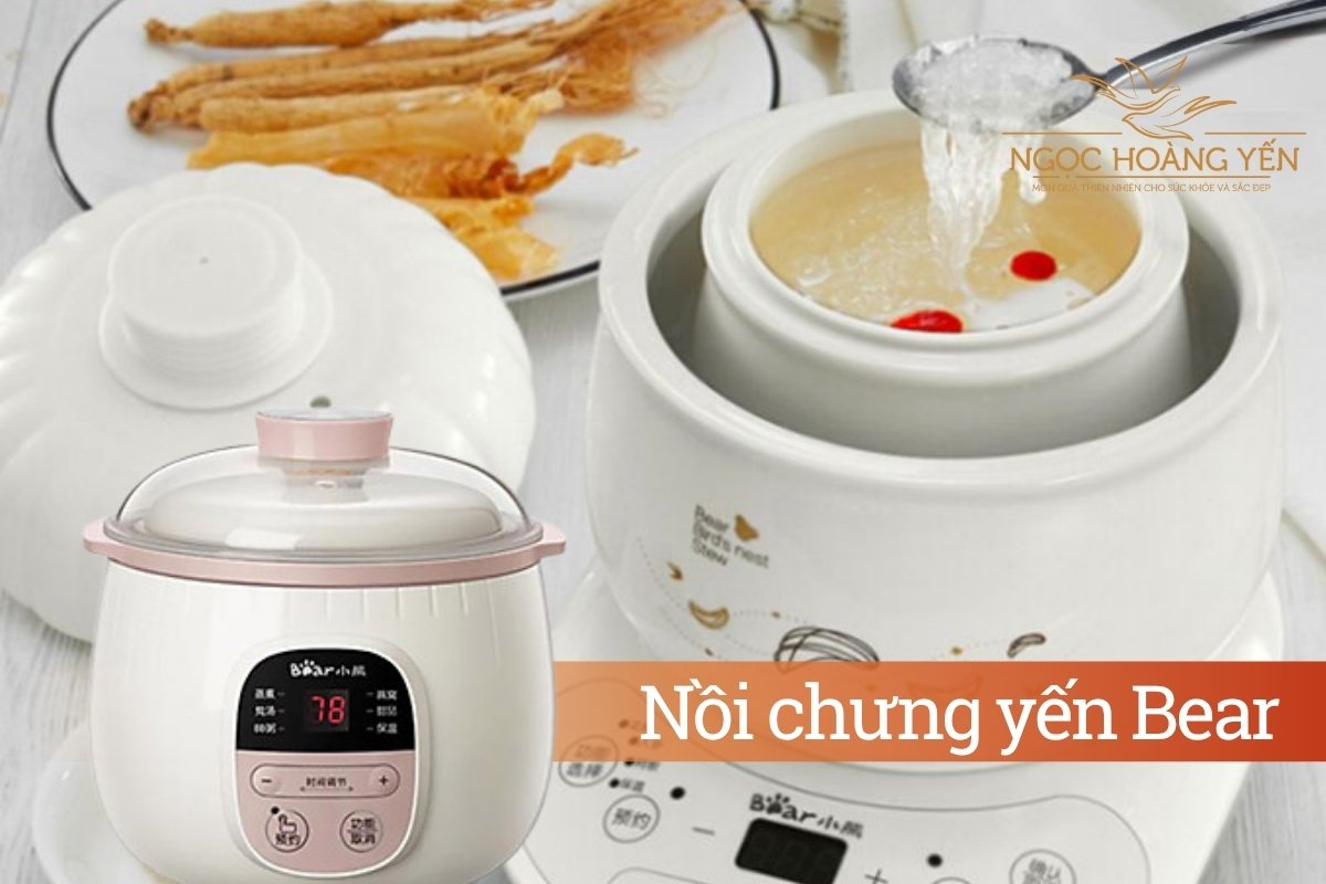 Nồi chưng yến Bear
