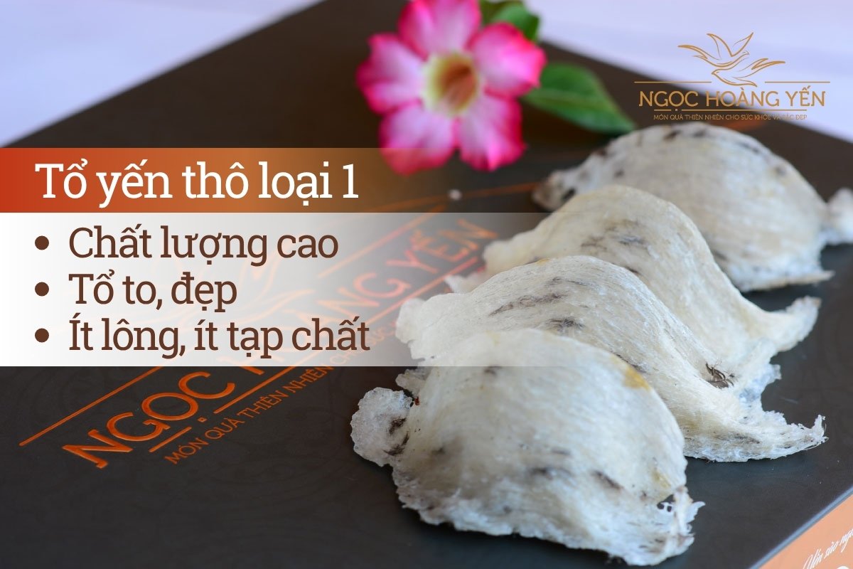 Tổ yến thô loại 1 có chất lượng cao - tổ to, đẹp - ít lông