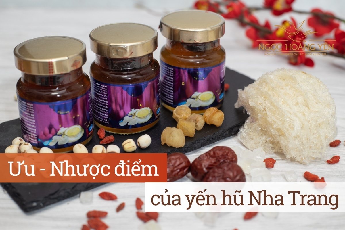 Ưu - Nhược điểm của yến hũ Nha Trang