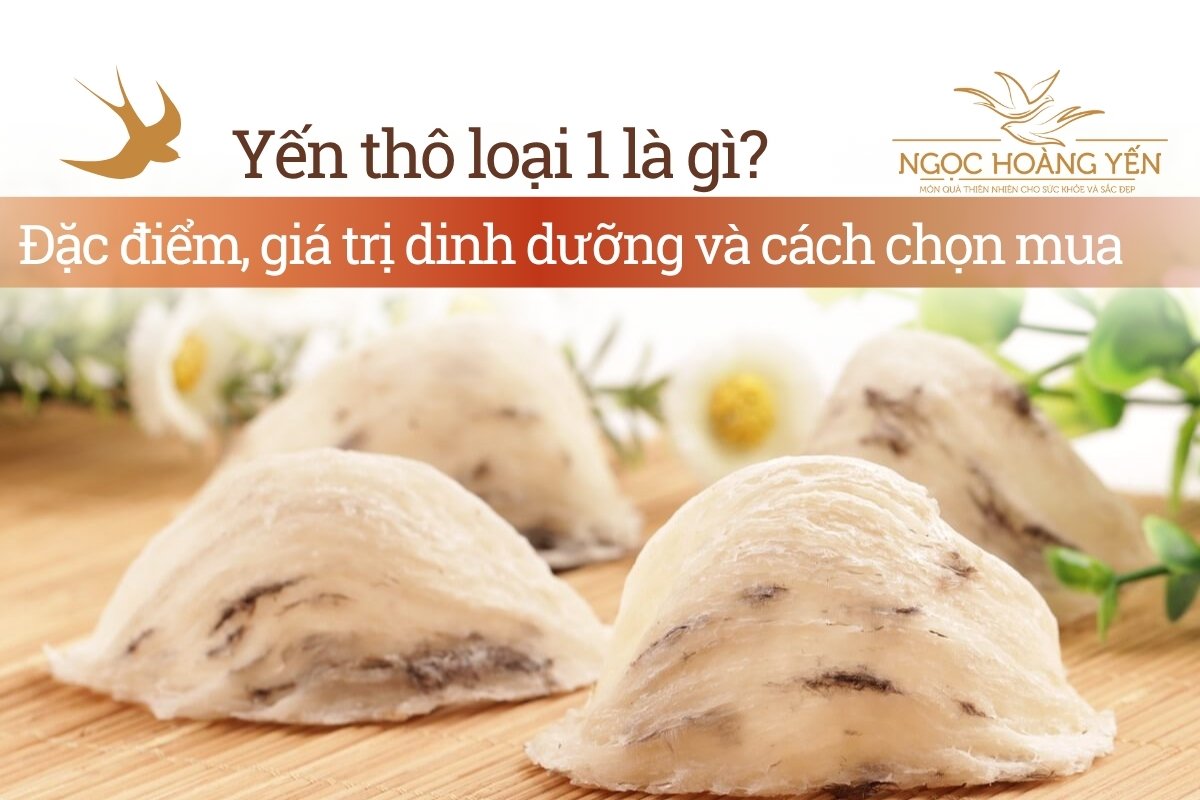 Yến thô loại 1 là gì? Đặc điểm, giá trị dinh dưỡng và cách chọn mua