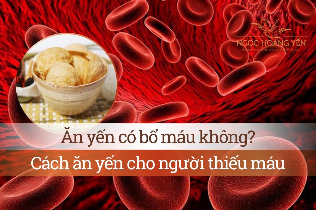 Ăn yến có bổ máu không? Cách ăn yến cho người thiếu máu