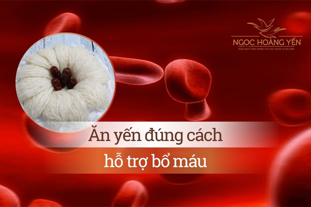 Ăn yến đúng cách hỗ trợ bổ máu