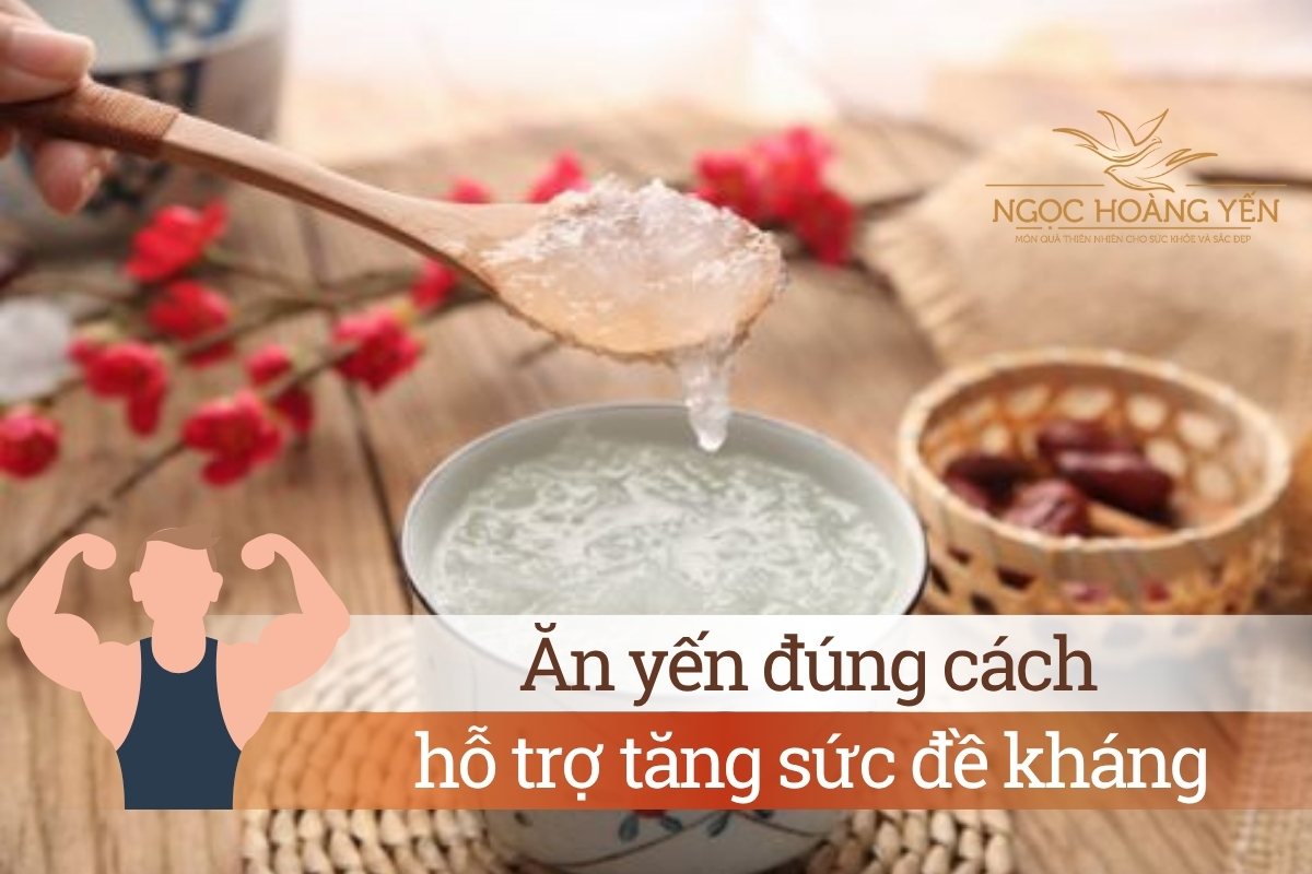 Ăn yến đúng cách hỗ trợ tăng sức đề kháng