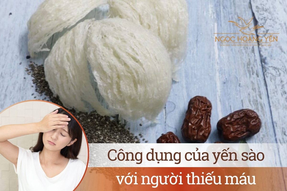 Công dụng của yến sào với người thiếu máu