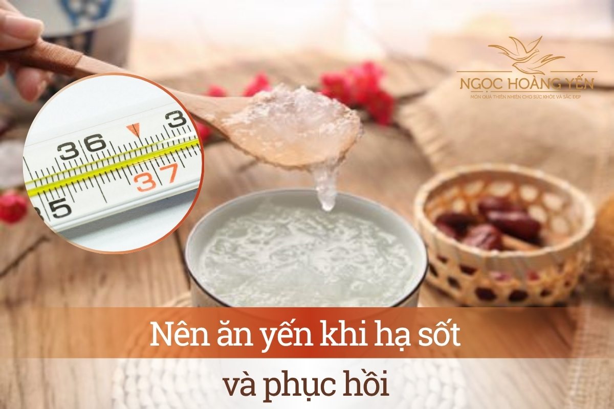 Nên ăn yến khi hạ sốt và phục hồi