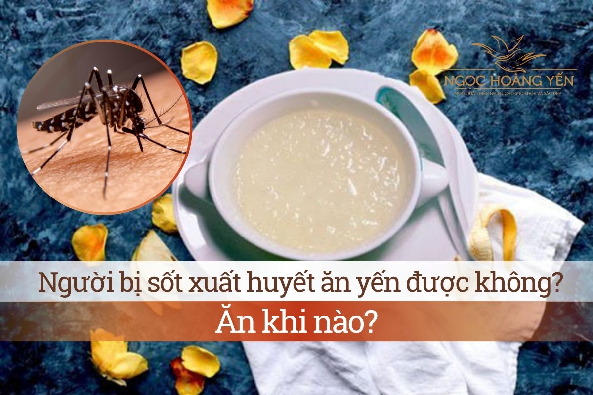 Người bị sốt xuất huyết ăn yến được không? Ăn khi nào?