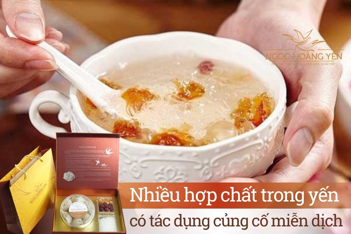 Nhiều hợp chất trong yến có tác dụng củng cố miễn dịch