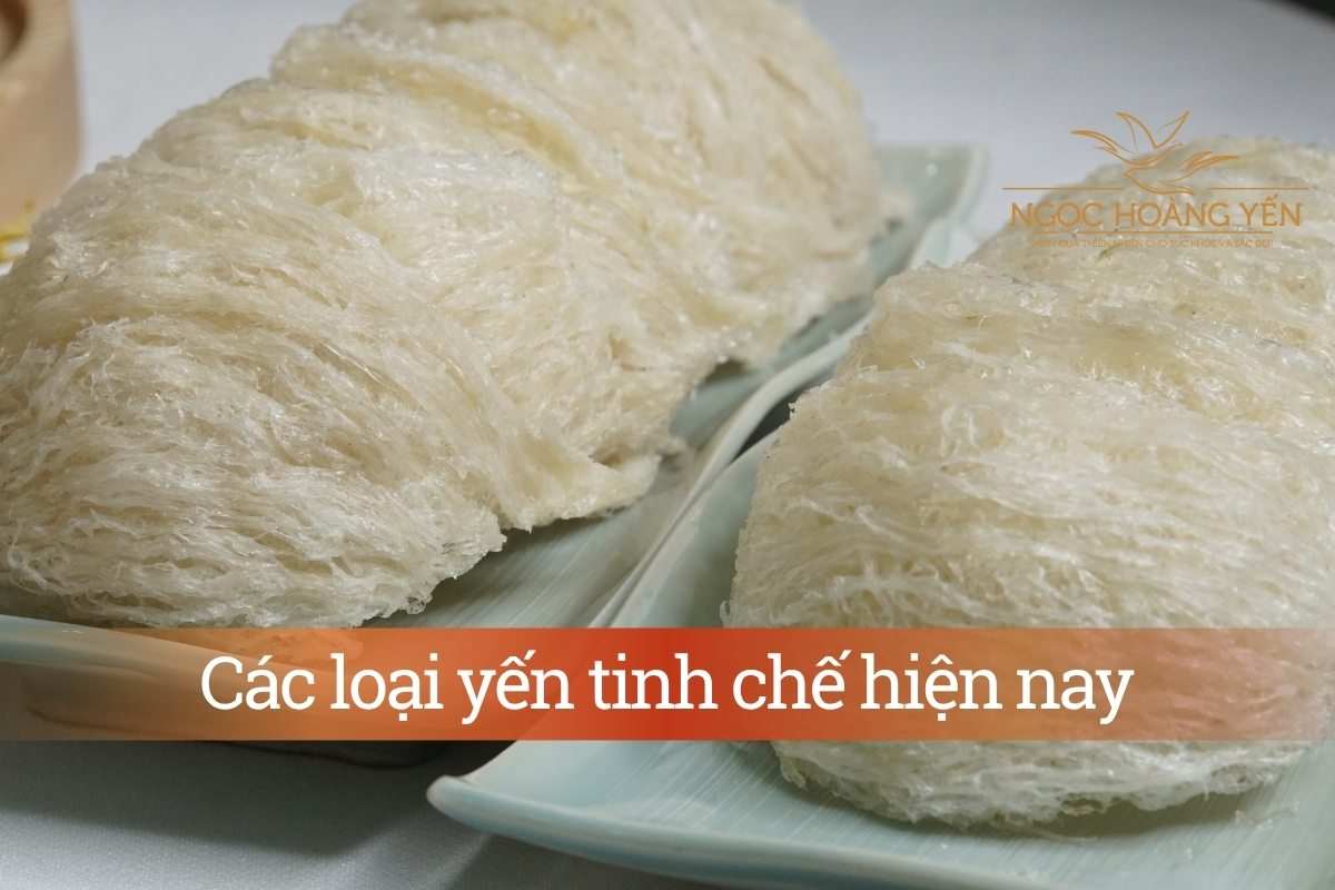 Các loại yến tinh chế hiện nay