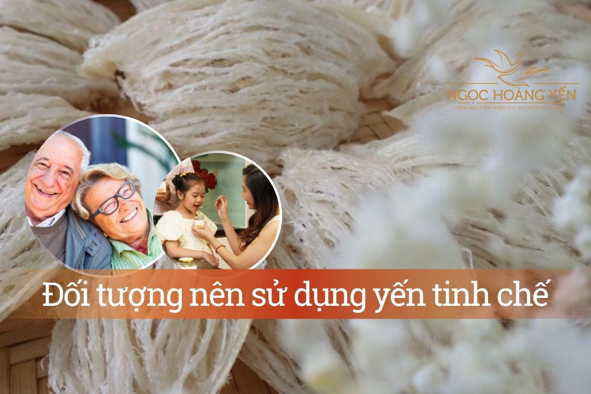 Đối tượng nên sử dụng yến tinh chế